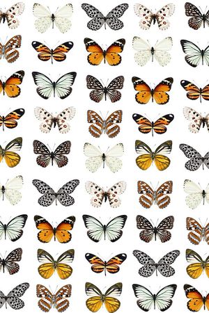 潮流印花华亿平台图片