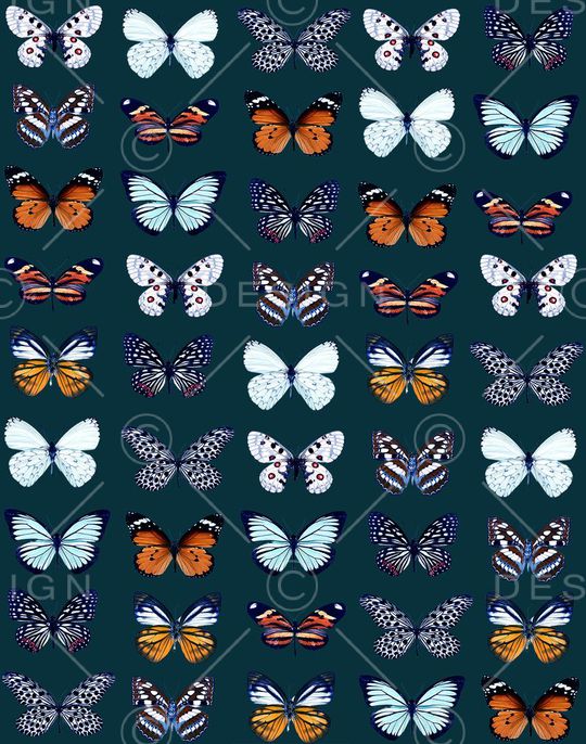 潮流印花华亿平台图片