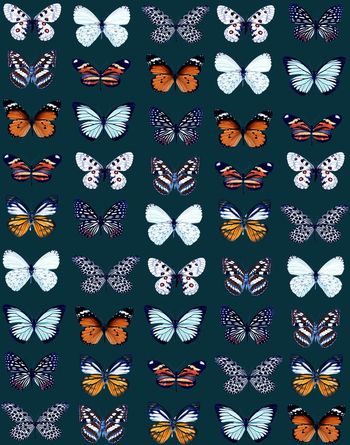 390252-复古蝴蝶潮流男装华亿平台