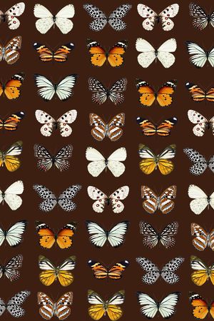 潮流印花华亿平台图片