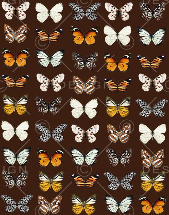 潮流印花华亿平台图片