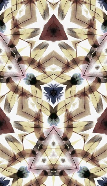 390343-飘逸的羽毛女装衬衫