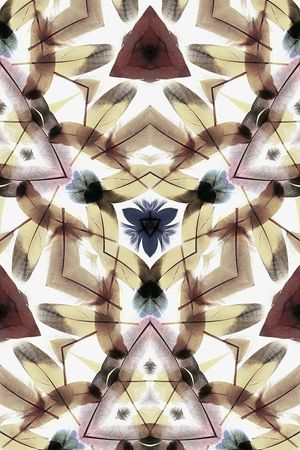 飘逸印花华亿平台图片