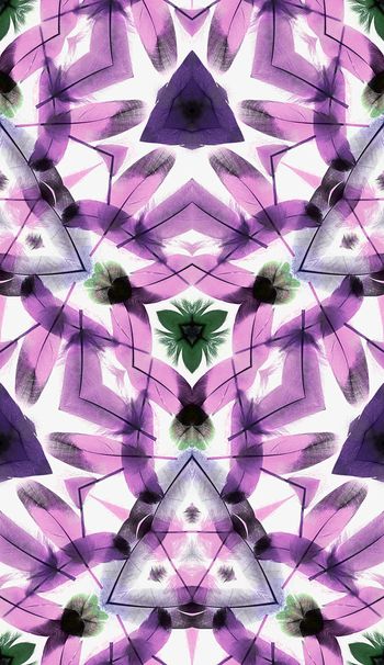 390344-飘逸的羽毛女装衬衫