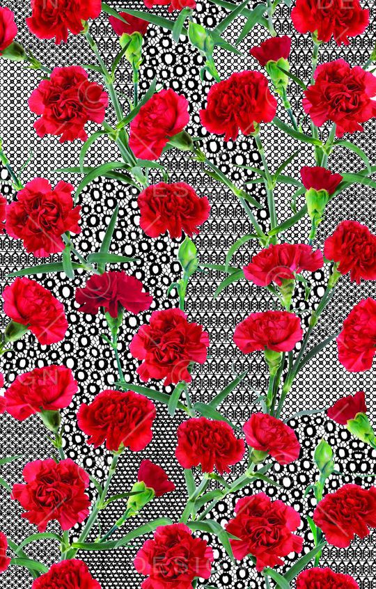 数码印花印花华亿平台图片