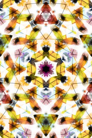 羽毛印花华亿平台图片