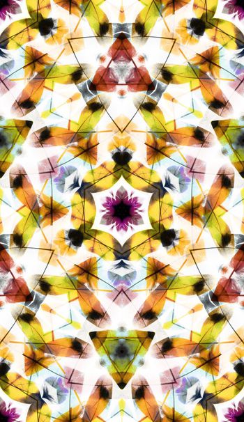 390350-缤纷羽毛动物纹女装男装