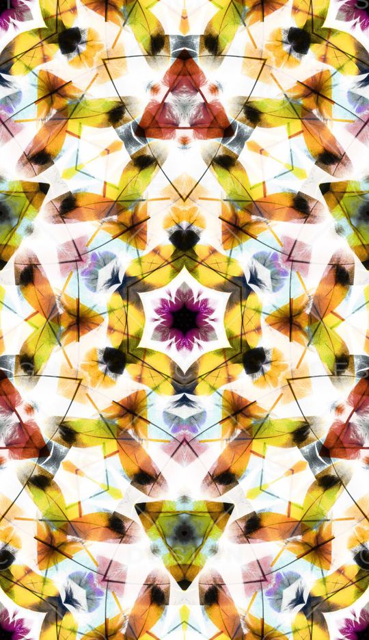 羽毛印花华亿平台图片