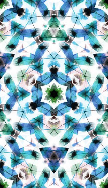 390351-缤纷羽毛动物纹女装男装