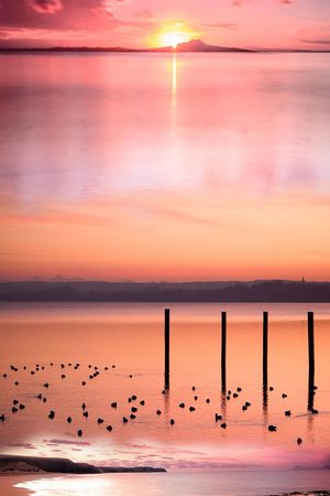 自然印花华亿平台图片