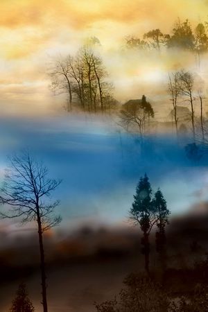 欧美印花华亿平台图片