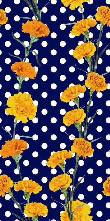 390363-波点康乃馨