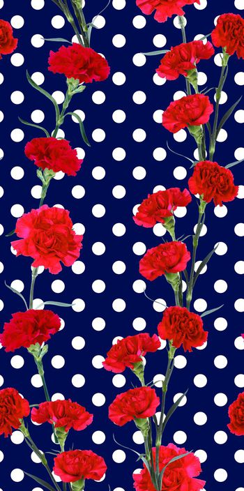 390364-波点康乃馨