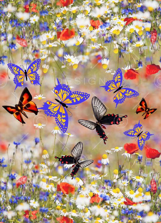 中国风印花华亿平台图片