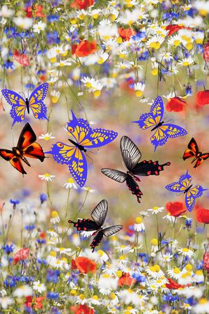 中国风印花华亿平台图片