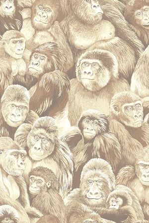 22.9*15.3cm\300dpi\tiff印花华亿平台图片