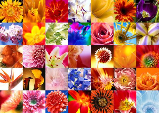 时尚印花华亿平台图片