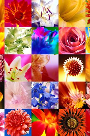 时尚印花华亿平台图片