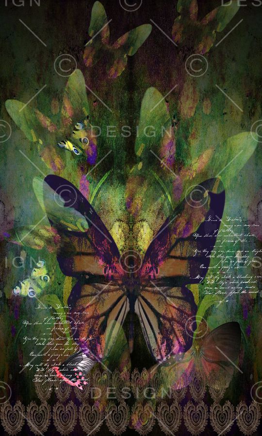 蝴蝶印花华亿平台图片