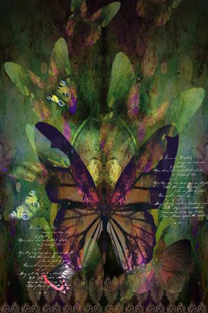 蝴蝶印花华亿平台图片