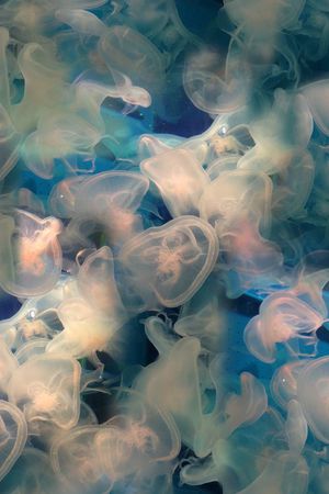 潮流印花华亿平台图片