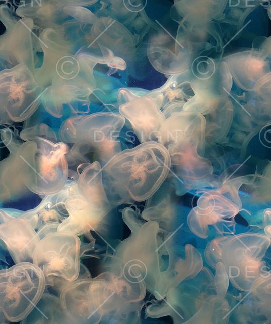 潮流印花华亿平台图片