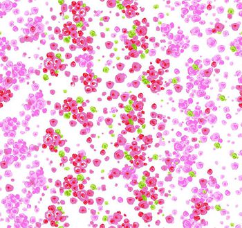 华亿平台印花华亿平台图片