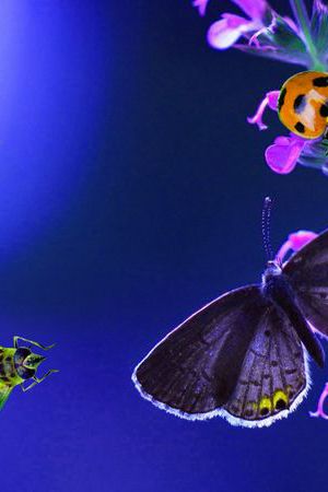 数码印花华亿平台图片