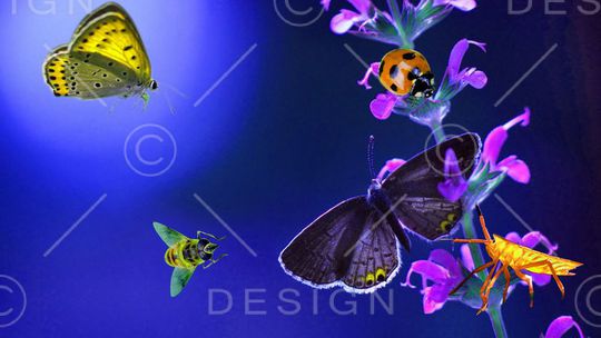 数码印花华亿平台图片