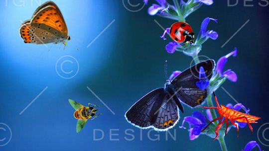 写意印花华亿平台图片