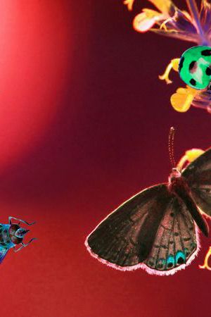 写意印花华亿平台图片