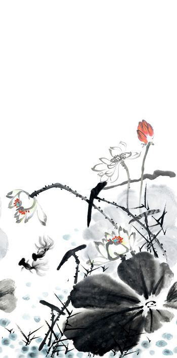 荷花印花华亿平台图片