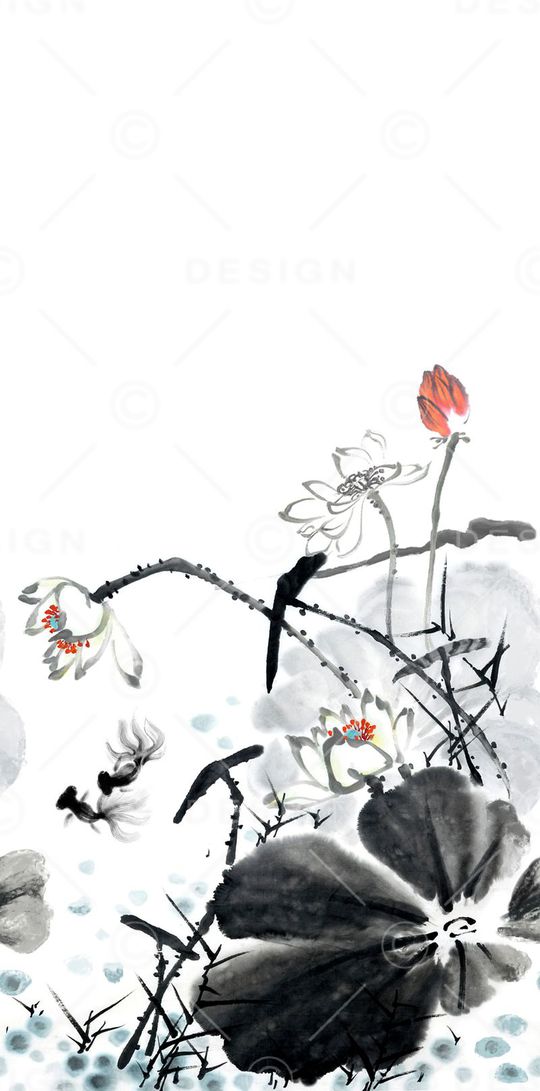 荷花印花华亿平台图片