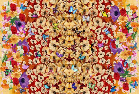 蝴蝶印花华亿平台图片