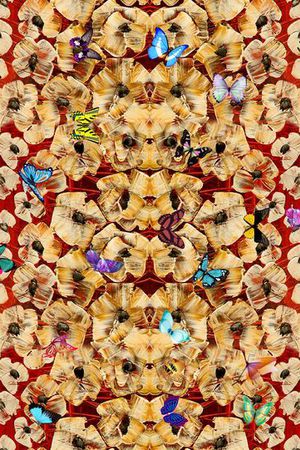 蝴蝶印花华亿平台图片