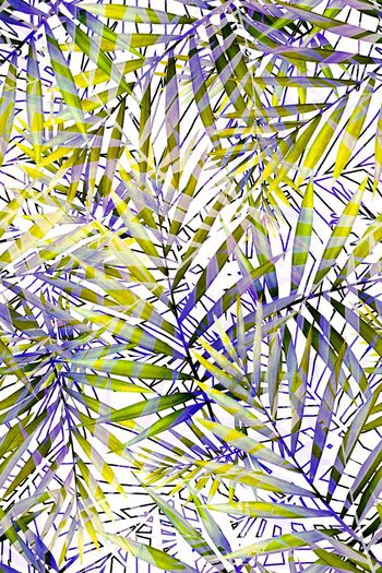 390911-多彩热带树叶