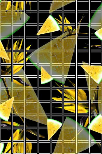 391183-天堂鸟西瓜！好吃的啦······.