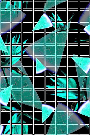 391184-天堂鸟西瓜！好吃的啦······.