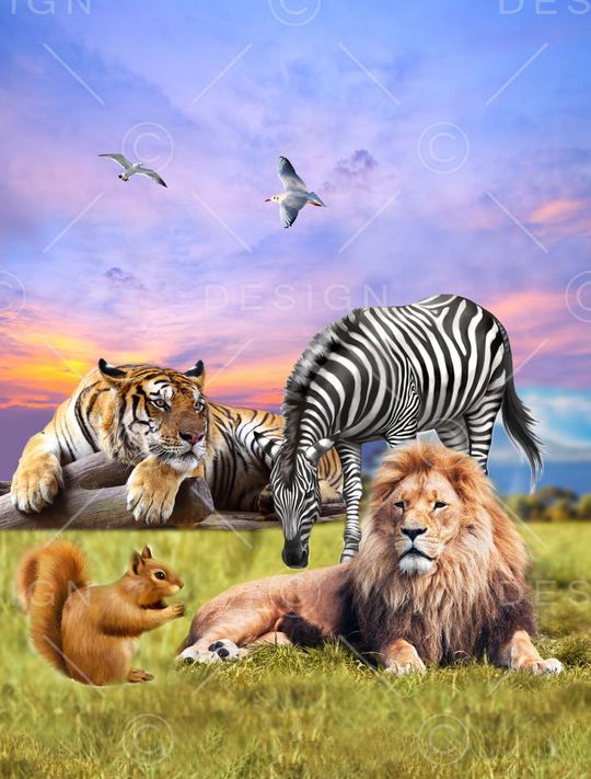 大气印花华亿平台图片