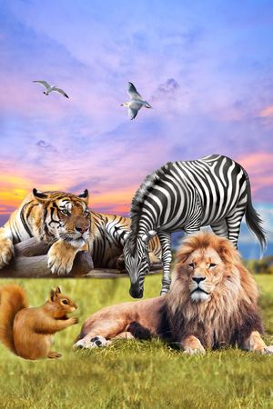 大气印花华亿平台图片