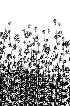 休闲印花华亿平台图片