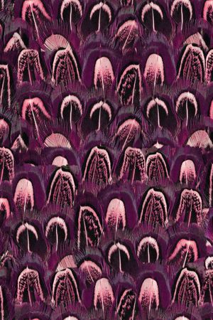 现代印花华亿平台图片