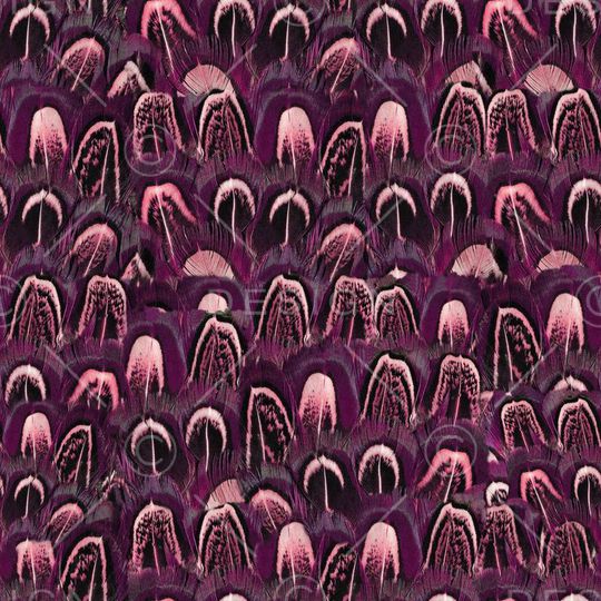 现代印花华亿平台图片