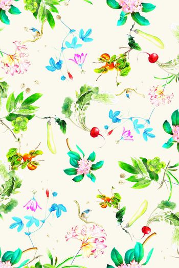 391480-手绘蔬菜水果