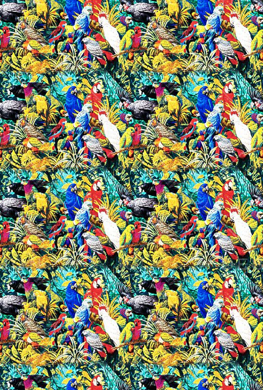 动物印花华亿平台图片