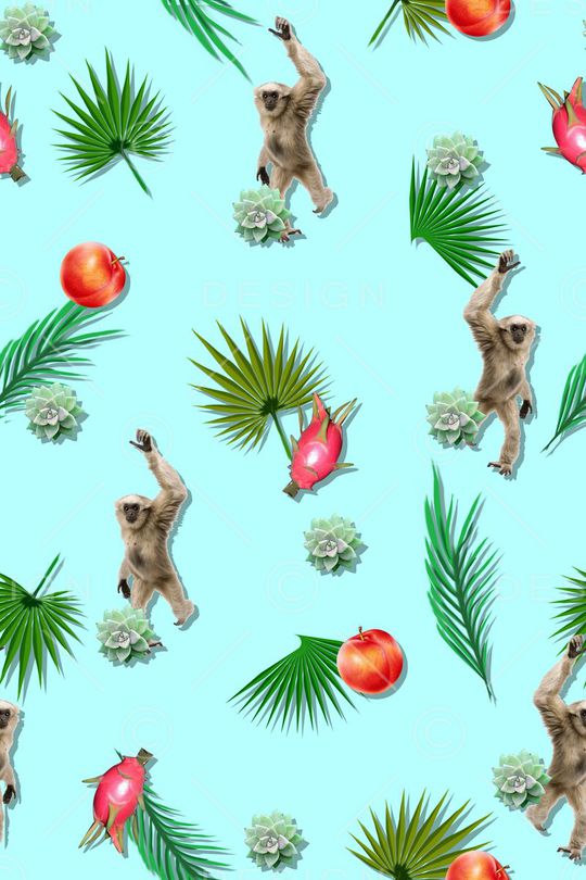 热带组合印花华亿平台图片