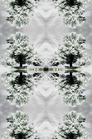 古典羽绒服真丝浪漫雪树印花华亿平台图片