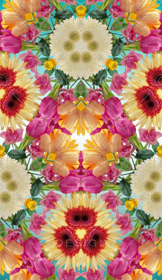 雏菊印花华亿平台图片