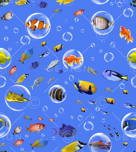 深海鱼印花华亿平台图片