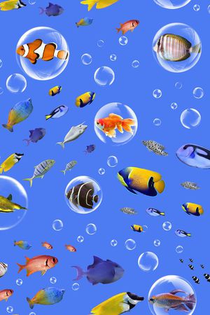 深海鱼印花华亿平台图片